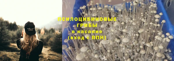 гидропоника Аркадак