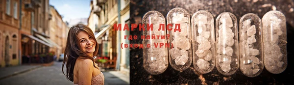 стаф Арсеньев