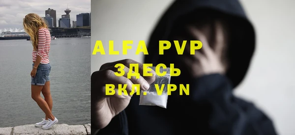 индика Костерёво