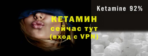 стаф Арсеньев