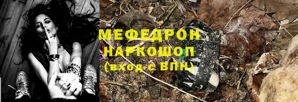 стаф Арсеньев