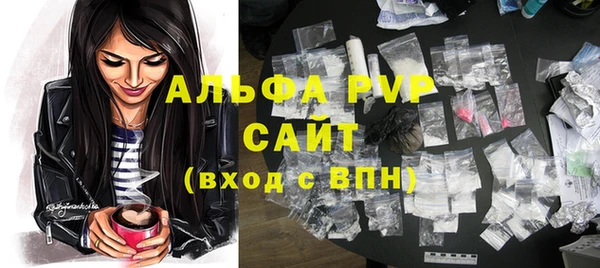 стаф Арсеньев