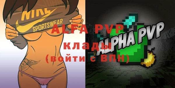 стаф Арсеньев